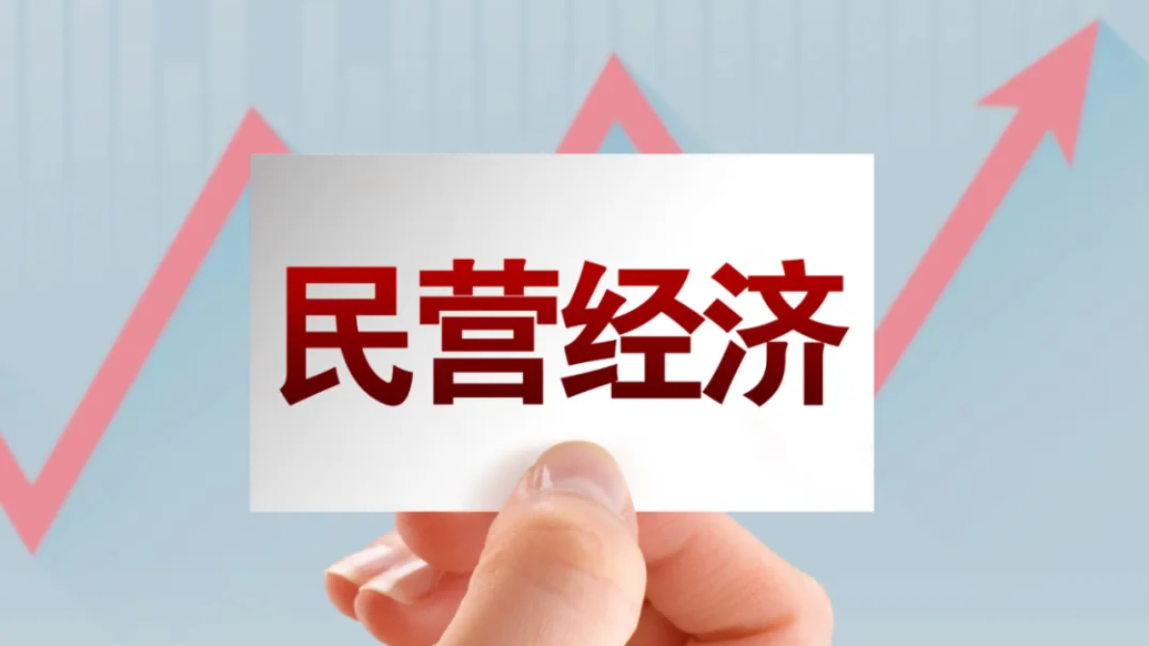 国家发展改革委办公厅关于学习宣传和贯彻实施 《中华人民共和国民营经济促进法》的通知