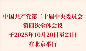 中国共产党第二十届中央委员会第四次全体会议公报重点词汇