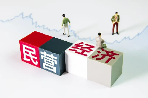 【政策速递】“法治护航民营经济”行动方案
